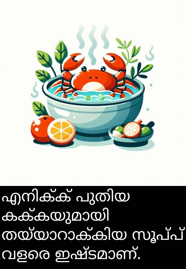 സൂപ്പ്: എനിക്ക് പുതിയ കക്കയുമായി തയ്യാറാക്കിയ സൂപ്പ് വളരെ ഇഷ്ടമാണ്.