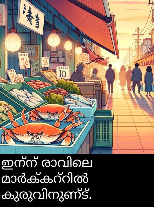 ഇന്ന്: ഇന്ന് രാവിലെ മാർക്കറ്റിൽ تازہ കുരുവിനുണ്ട്.