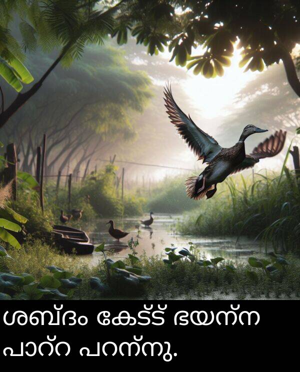ഭയന്ന: ശബ്ദം കേട്ട് ഭയന്ന പാറ്റ പറന്നു.