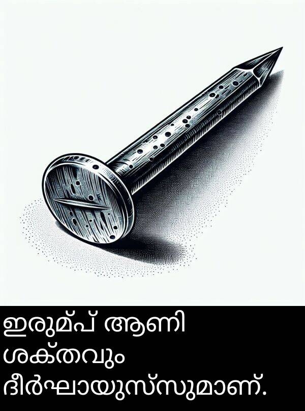 ഇരുമ്പ്: ഇരുമ്പ് ആണി ശക്തവും ദീർഘായുസ്സുമാണ്.