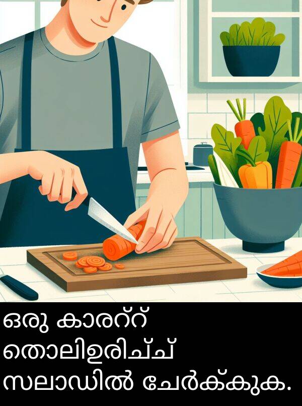 ഒരു: ഒരു കാരറ്റ് തൊലിഉരിച്ച് സലാഡിൽ ചേർക്കുക.