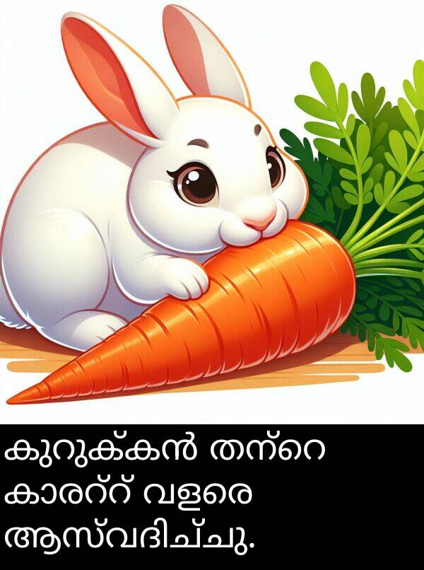 വളരെ: കുറുക്കൻ തന്റെ കാരറ്റ് വളരെ ആസ്വദിച്ചു.