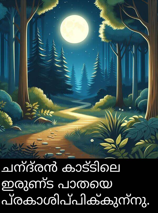 ഇരുണ്ട: ചന്ദ്രൻ കാട്ടിലെ ഇരുണ്ട പാതയെ പ്രകാശിപ്പിക്കുന്നു.