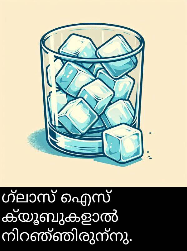ഐസ്: ഗ്ലാസ് ഐസ് ക്യൂബുകളാൽ നിറഞ്ഞിരുന്നു.