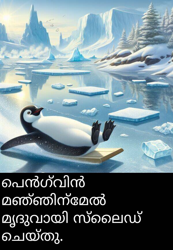 ചെയ്തു: പെൻഗ്വിൻ മഞ്ഞിന്മേൽ മൃദുവായി സ്ലൈഡ് ചെയ്തു.
