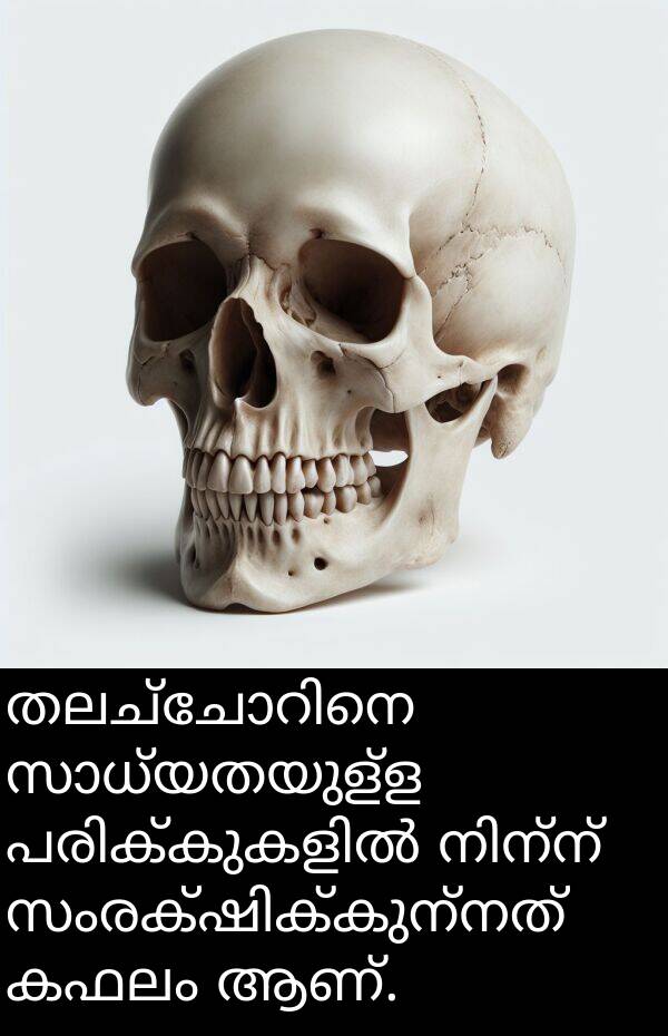 ആണ്: തലച്ചോറിനെ സാധ്യതയുള്ള പരിക്കുകളിൽ നിന്ന് സംരക്ഷിക്കുന്നത് കഫലം ആണ്.
