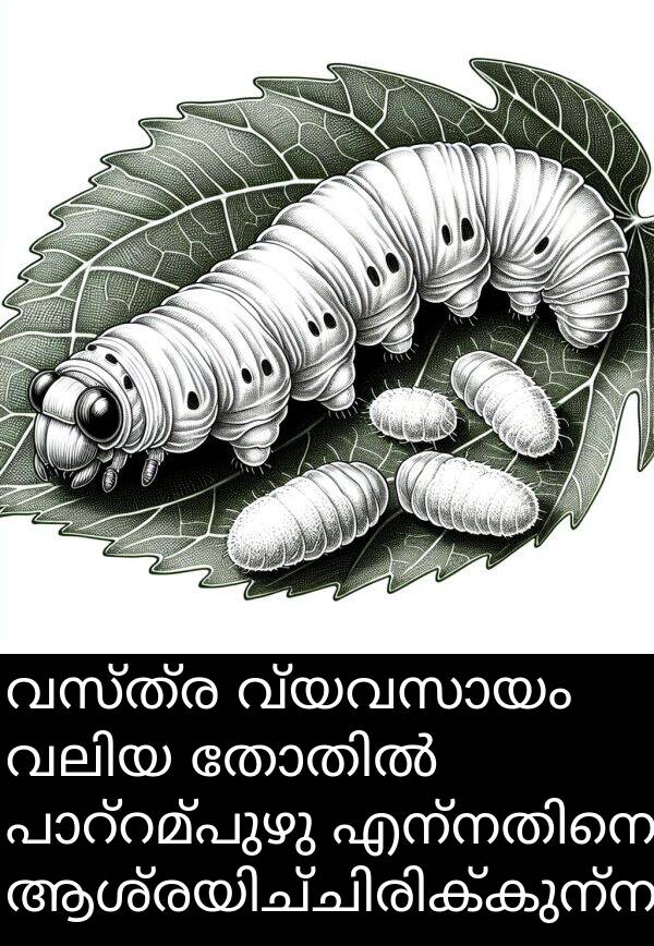 വസ്ത്ര: വസ്ത്ര വ്യവസായം വലിയ തോതിൽ പാറ്റമ്പുഴു എന്നതിനെ ആശ്രയിച്ചിരിക്കുന്നു.