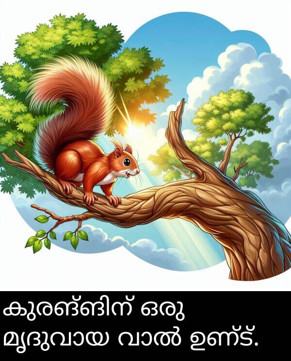 ഉണ്ട്: കുരങ്ങിന് ഒരു മൃദുവായ വാൽ ഉണ്ട്.