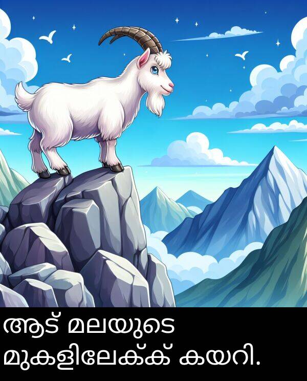 മലയുടെ: ആട് മലയുടെ മുകളിലേക്ക് കയറി.