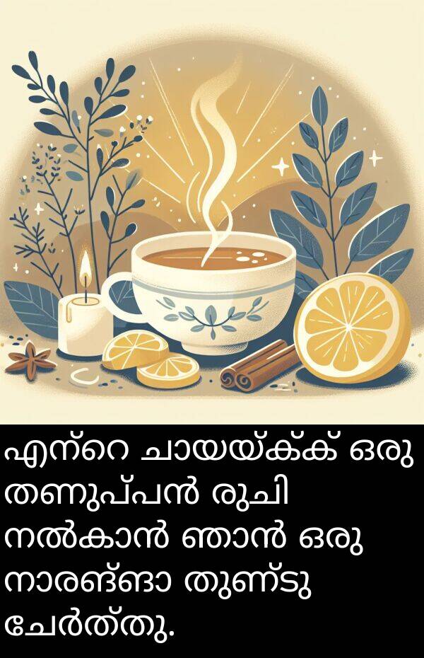 തുണ്ടു: എന്റെ ചായയ്ക്ക് ഒരു തണുപ്പൻ രുചി നൽകാൻ ഞാൻ ഒരു നാരങ്ങാ തുണ്ടു ചേർത്തു.