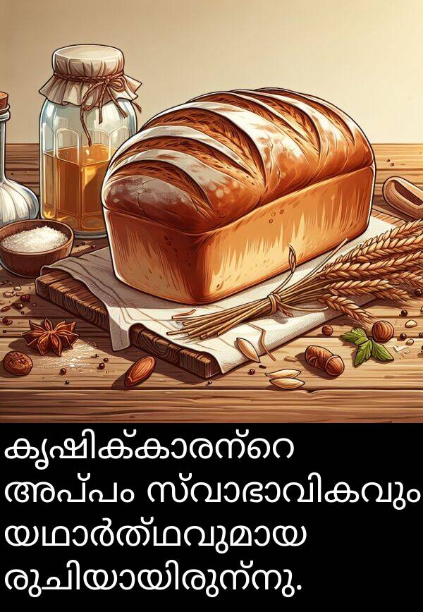 അപ്പം: കൃഷിക്കാരന്റെ അപ്പം സ്വാഭാവികവും യഥാർത്ഥവുമായ രുചിയായിരുന്നു.