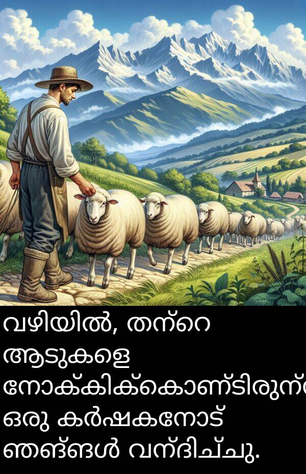 ആടുകളെ: വഴിയിൽ, തന്റെ ആടുകളെ നോക്കിക്കൊണ്ടിരുന്ന ഒരു കർഷകനോട് ഞങ്ങൾ വന്ദിച്ചു.