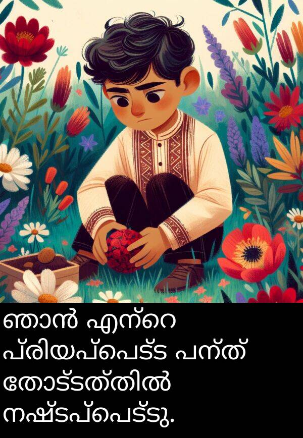 നഷ്ടപ്പെട്ടു: ഞാൻ എന്റെ പ്രിയപ്പെട്ട പന്ത് തോട്ടത്തിൽ നഷ്ടപ്പെട്ടു.
