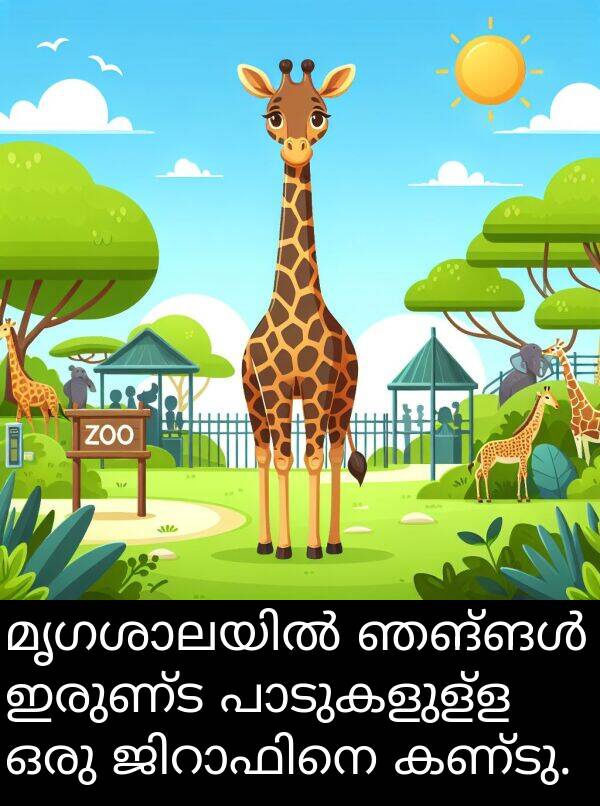 ഇരുണ്ട: മൃഗശാലയിൽ ഞങ്ങൾ ഇരുണ്ട പാടുകളുള്ള ഒരു ജിറാഫിനെ കണ്ടു.
