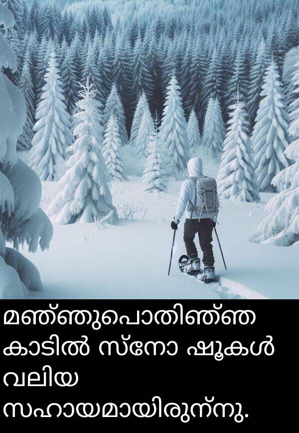 സ്നോ: മഞ്ഞുപൊതിഞ്ഞ കാടിൽ സ്നോ ഷൂകൾ വലിയ സഹായമായിരുന്നു.