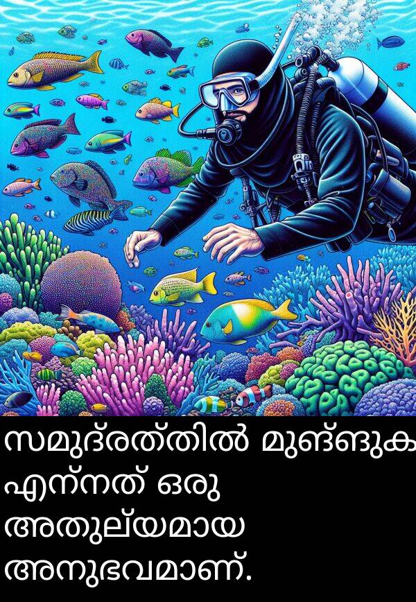 മുങ്ങുക: സമുദ്രത്തിൽ മുങ്ങുക എന്നത് ഒരു അതുല്യമായ അനുഭവമാണ്.