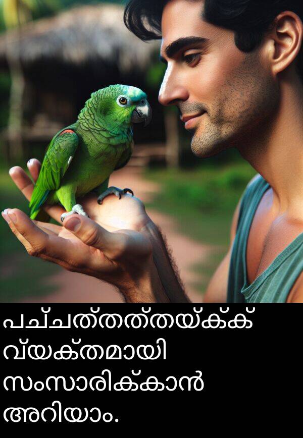 പച്ചത്തത്തയ്ക്ക്: പച്ചത്തത്തയ്ക്ക് വ്യക്തമായി സംസാരിക്കാൻ അറിയാം.