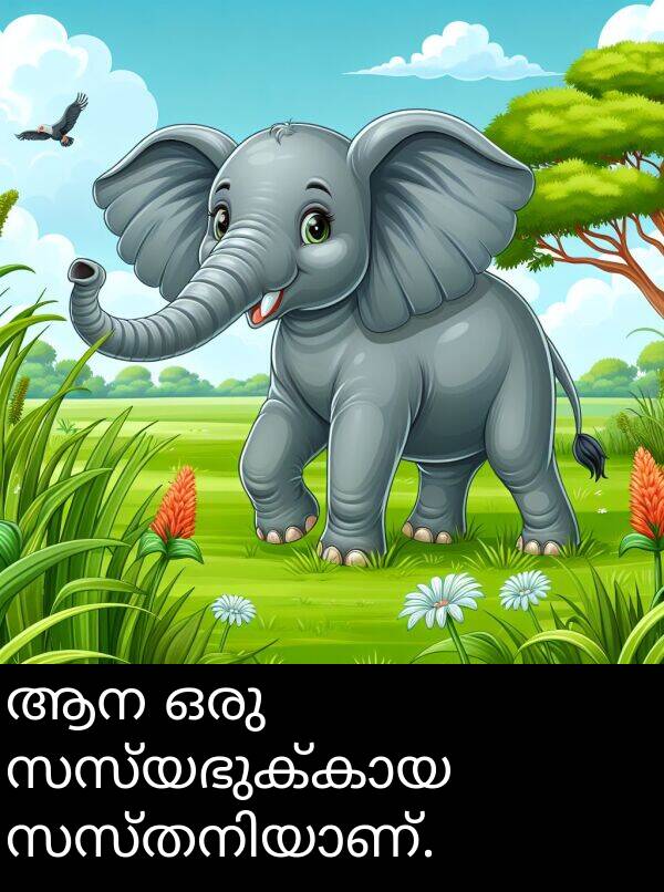 ഒരു: ആന ഒരു സസ്യഭുക്കായ സസ്തനിയാണ്.