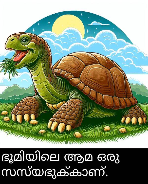ഒരു: ഭൂമിയിലെ ആമ ഒരു സസ്യഭുക്കാണ്.