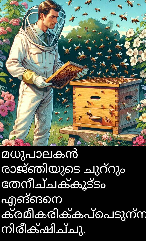 തേനീച്ചക്കൂട്ടം: മധുപാലകൻ രാജ്ഞിയുടെ ചുറ്റും തേനീച്ചക്കൂട്ടം എങ്ങനെ ക്രമീകരിക്കപ്പെടുന്നുവെന്ന് നിരീക്ഷിച്ചു.