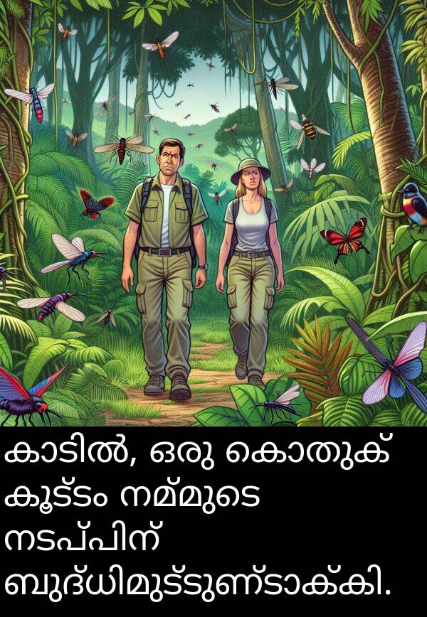 നമ്മുടെ: കാടിൽ, ഒരു കൊതുക് കൂട്ടം നമ്മുടെ നടപ്പിന് ബുദ്ധിമുട്ടുണ്ടാക്കി.