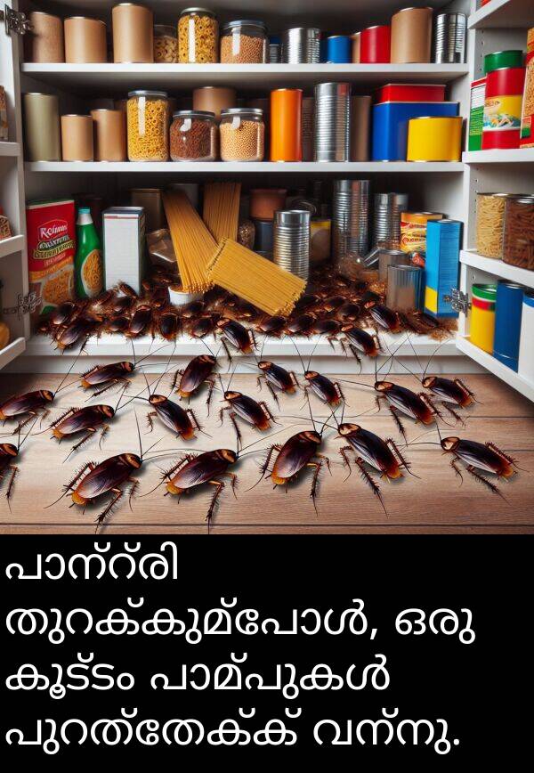 വന്നു: പാന്റ്രി തുറക്കുമ്പോൾ, ഒരു കൂട്ടം പാമ്പുകൾ പുറത്തേക്ക് വന്നു.