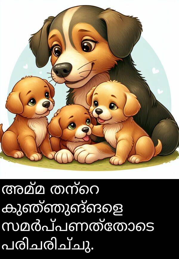 കുഞ്ഞുങ്ങളെ: അമ്മ തന്റെ കുഞ്ഞുങ്ങളെ സമർപ്പണത്തോടെ പരിചരിച്ചു.