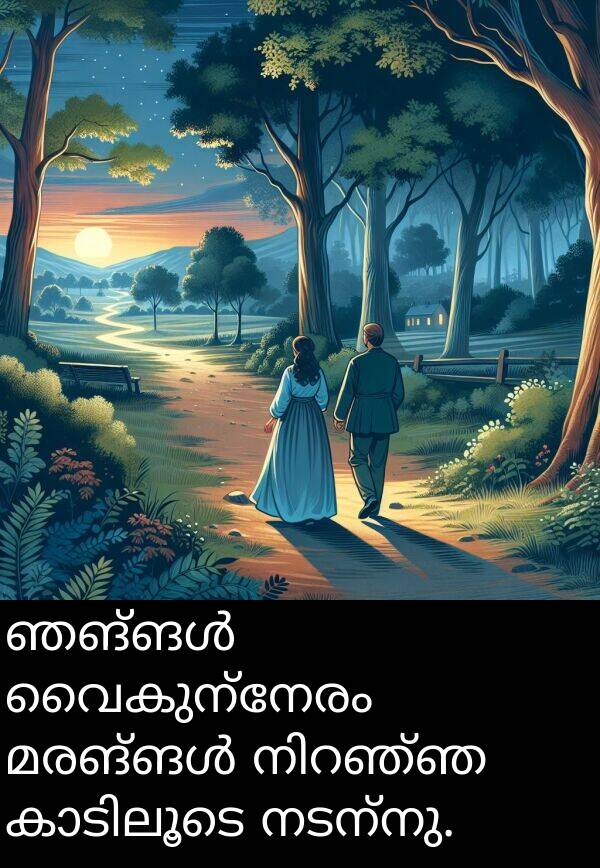 നടന്നു: ഞങ്ങൾ വൈകുന്നേരം മരങ്ങൾ നിറഞ്ഞ കാടിലൂടെ നടന്നു.