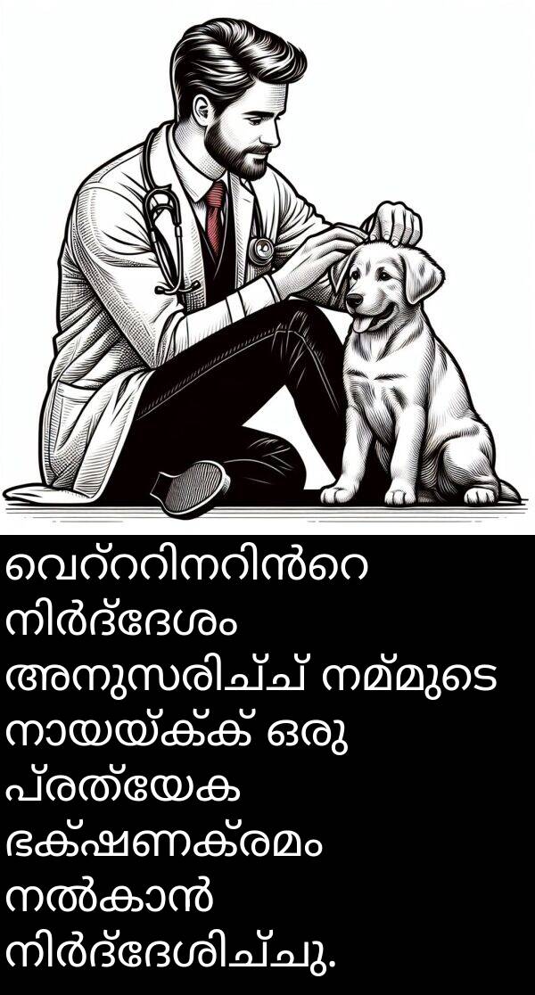 നമ്മുടെ: വെറ്ററിനറിൻറെ നിർദ്ദേശം അനുസരിച്ച് നമ്മുടെ നായയ്ക്ക് ഒരു പ്രത്യേക ഭക്ഷണക്രമം നൽകാൻ നിർദ്ദേശിച്ചു.