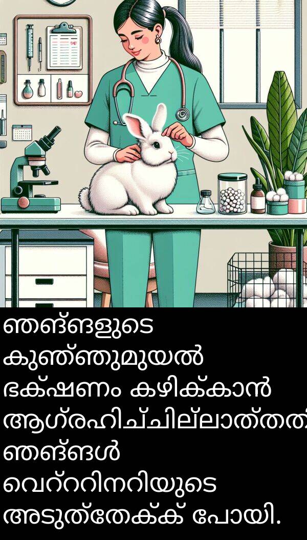 ഞങ്ങളുടെ: ഞങ്ങളുടെ കുഞ്ഞുമുയൽ ഭക്ഷണം കഴിക്കാൻ ആഗ്രഹിച്ചില്ലാത്തതിനാൽ ഞങ്ങൾ വെറ്ററിനറിയുടെ അടുത്തേക്ക് പോയി.