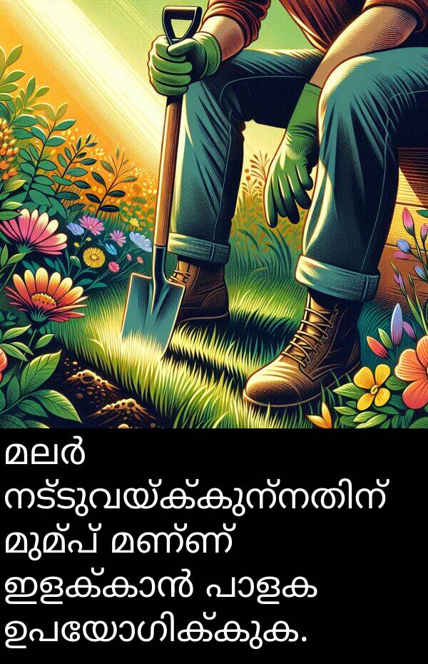 മണ്ണ്: മലർ നട്ടുവയ്ക്കുന്നതിന് മുമ്പ് മണ്ണ് ഇളക്കാൻ പാളക ഉപയോഗിക്കുക.