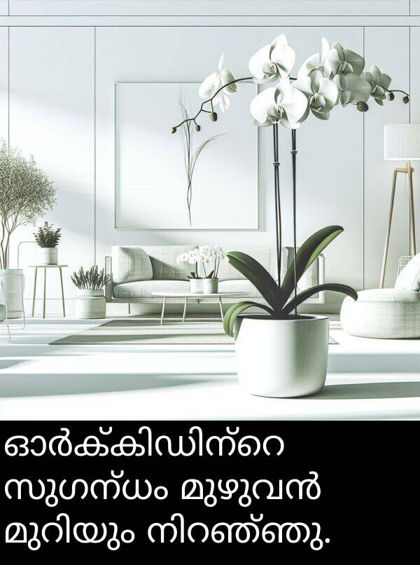 സുഗന്ധം: ഓർക്കിഡിന്റെ സുഗന്ധം മുഴുവൻ മുറിയും നിറഞ്ഞു.