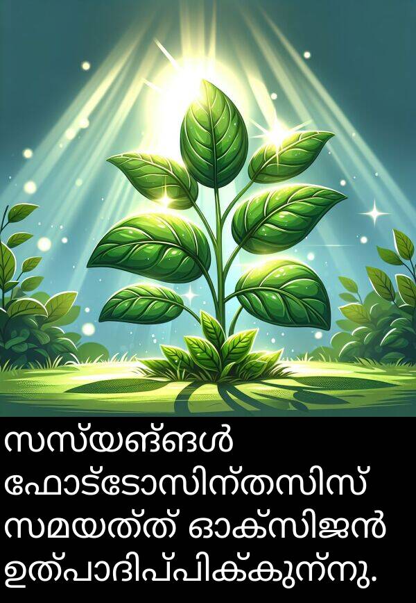 സമയത്ത്: സസ്യങ്ങൾ ഫോട്ടോസിന്തസിസ് സമയത്ത് ഓക്സിജൻ ഉത്പാദിപ്പിക്കുന്നു.