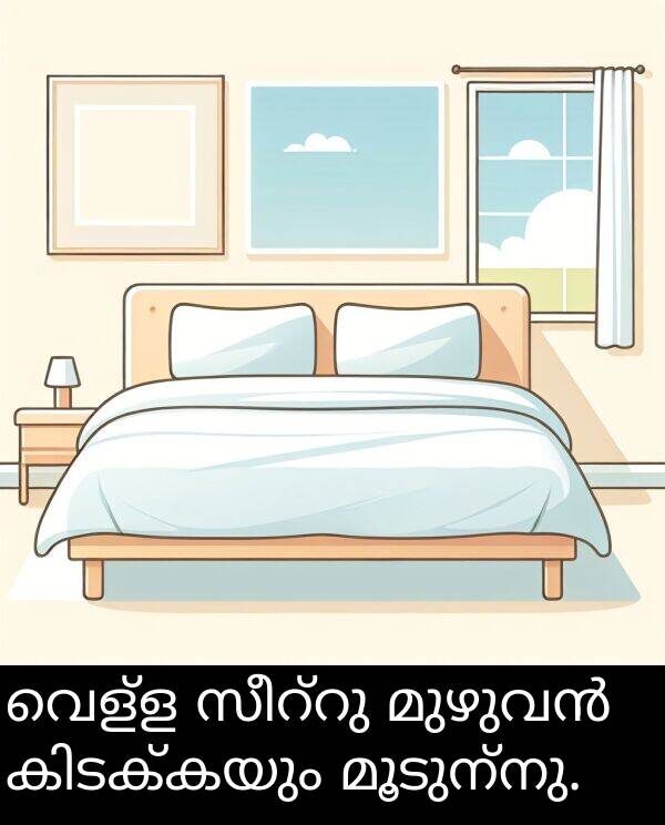 വെള്ള: വെള്ള സീറ്റു മുഴുവൻ കിടക്കയും മൂടുന്നു.