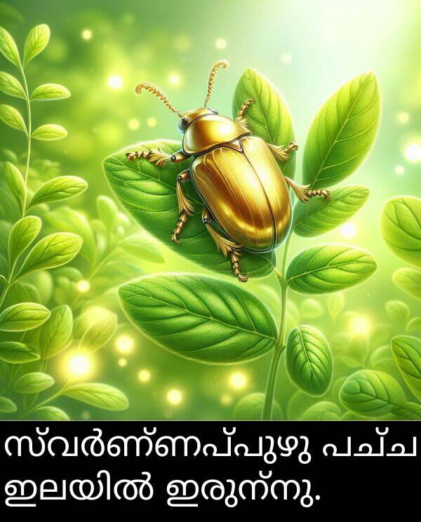 പച്ച: സ്വർണ്ണപ്പുഴു പച്ച ഇലയിൽ ഇരുന്നു.