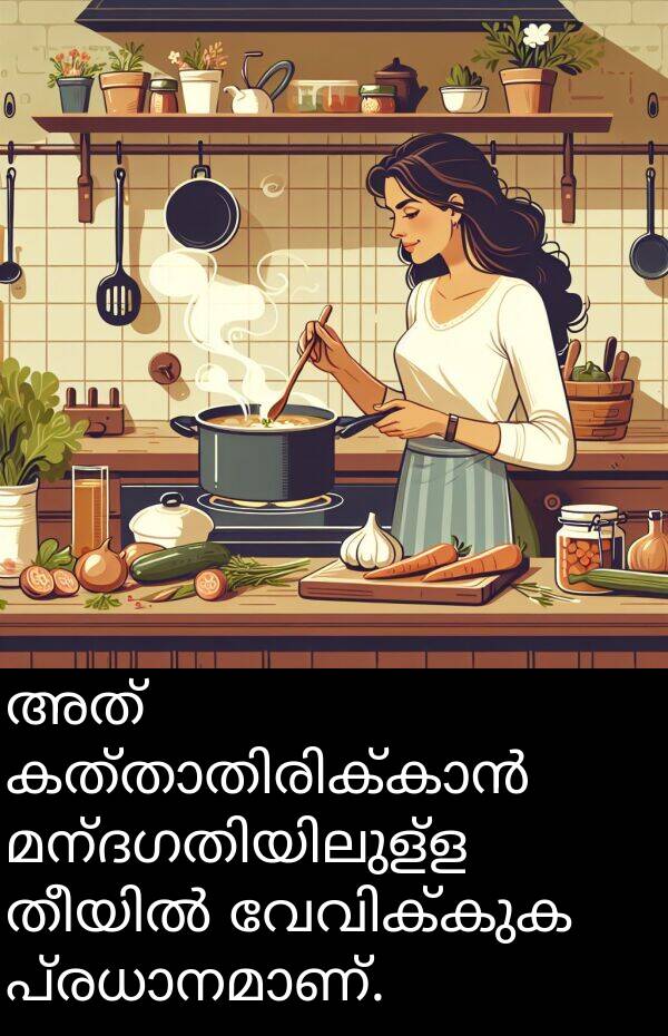 അത്: അത് കത്താതിരിക്കാൻ മന്ദഗതിയിലുള്ള തീയിൽ വേവിക്കുക പ്രധാനമാണ്.