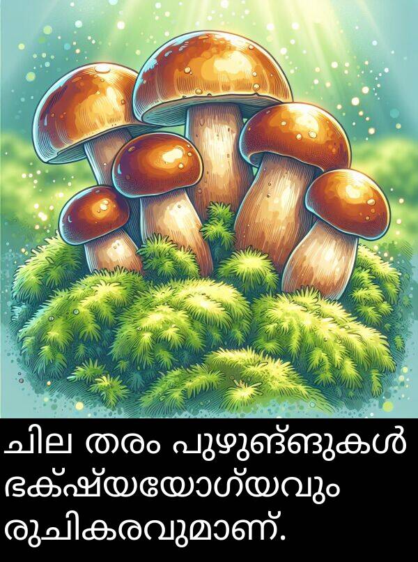 തരം: ചില തരം പുഴുങ്ങുകൾ ഭക്ഷ്യയോഗ്യവും രുചികരവുമാണ്.