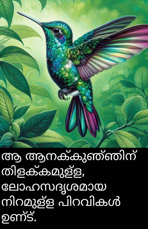 ഉണ്ട്: ആ ആനക്കുഞ്ഞിന് തിളക്കമുള്ള, ലോഹസദൃശമായ നിറമുള്ള പിറവികൾ ഉണ്ട്.