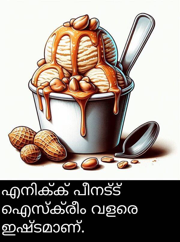 വളരെ: എനിക്ക് പീനട്ട് ഐസ്‌ക്രീം വളരെ ഇഷ്ടമാണ്.