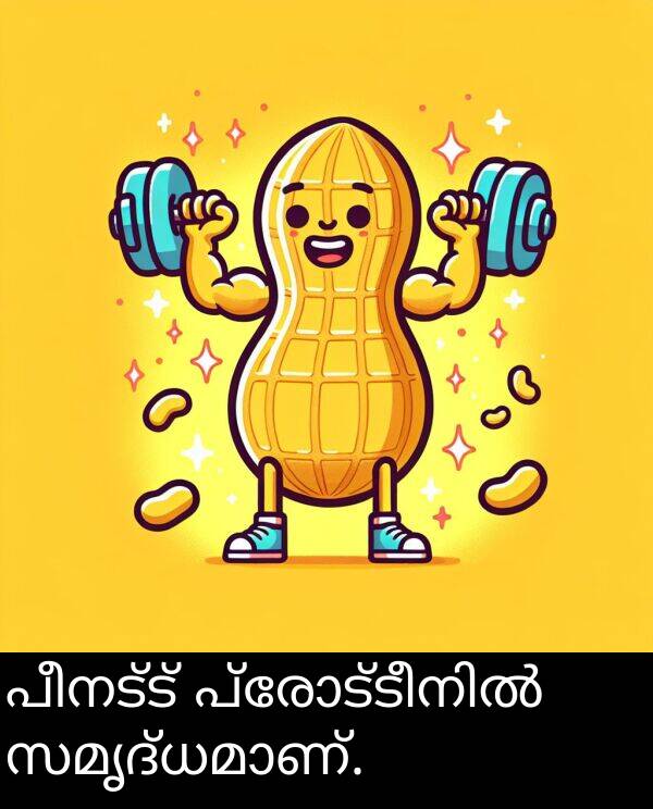 പീനട്ട്: പീനട്ട് പ്രോട്ടീനിൽ സമൃദ്ധമാണ്.