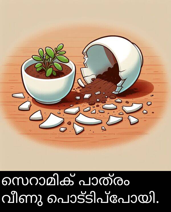 വീണു: സെറാമിക് പാത്രം വീണു പൊട്ടിപ്പോയി.