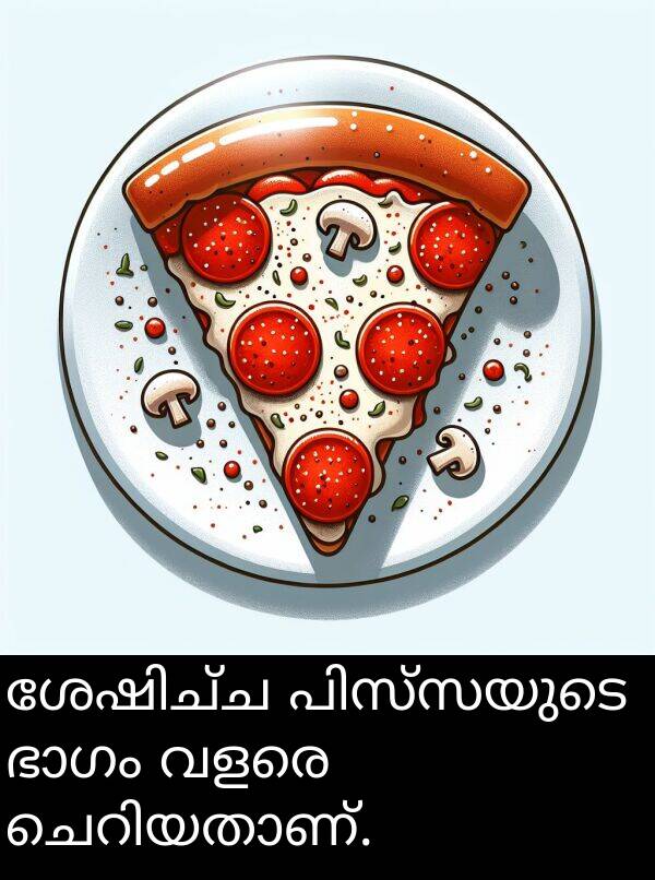 വളരെ: ശേഷിച്ച പിസ്സയുടെ ഭാഗം വളരെ ചെറിയതാണ്.