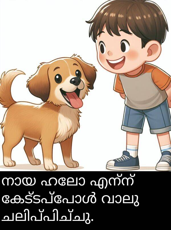 എന്ന്: നായ ഹലോ എന്ന് കേട്ടപ്പോൾ വാലു ചലിപ്പിച്ചു.