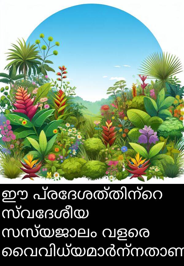 സ്വദേശീയ: ഈ പ്രദേശത്തിന്റെ സ്വദേശീയ സസ്യജാലം വളരെ വൈവിധ്യമാർന്നതാണ്.