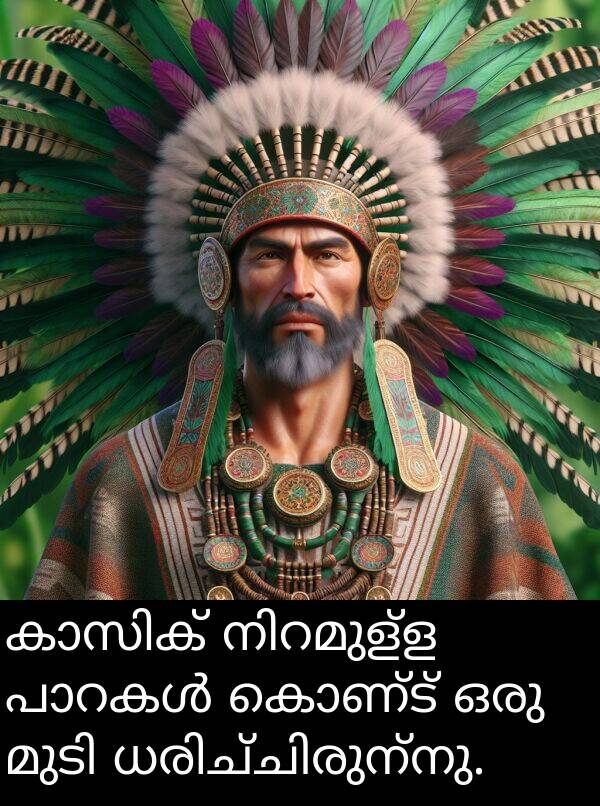 കൊണ്ട്: കാസിക് നിറമുള്ള പാറകൾ കൊണ്ട് ഒരു മുടി ധരിച്ചിരുന്നു.