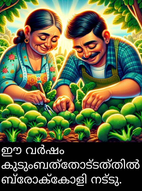 നട്ടു: ഈ വർഷം കുടുംബത്തോട്ടത്തിൽ ബ്രോക്കോളി നട്ടു.