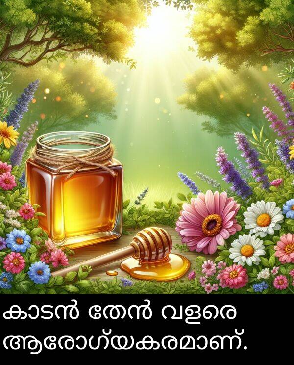 വളരെ: കാടൻ തേൻ വളരെ ആരോഗ്യകരമാണ്.