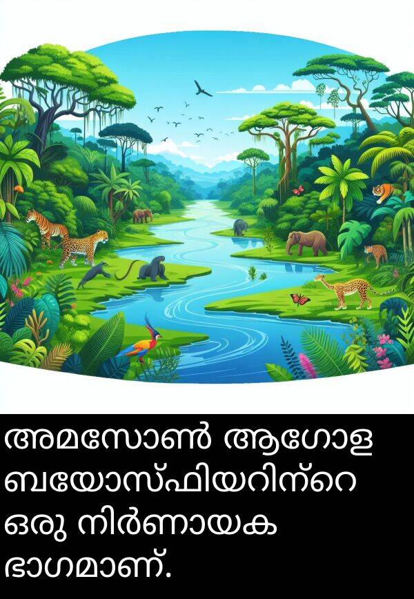 ആഗോള: അമസോൺ ആഗോള ബയോസ്ഫിയറിന്റെ ഒരു നിർണായക ഭാഗമാണ്.