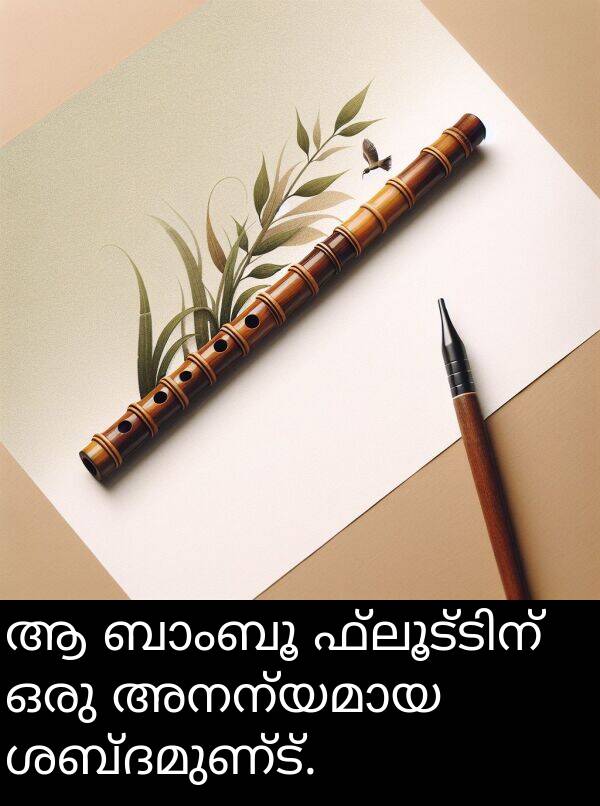 ശബ്ദമുണ്ട്: ആ ബാംബൂ ഫ്ലൂട്ടിന് ഒരു അനന്യമായ ശബ്ദമുണ്ട്.