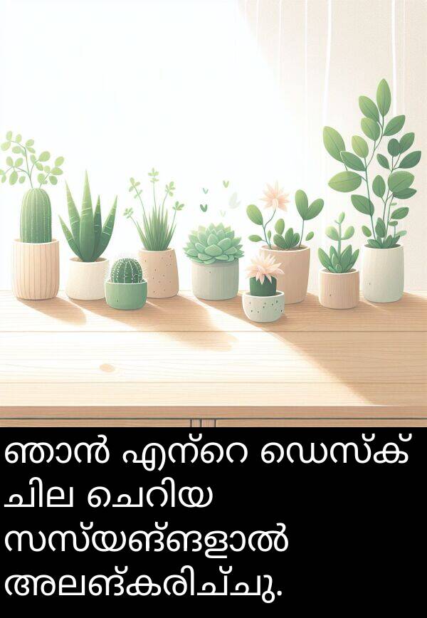 ഡെസ്ക്: ഞാൻ എന്റെ ഡെസ്ക് ചില ചെറിയ സസ്യങ്ങളാൽ അലങ്കരിച്ചു.